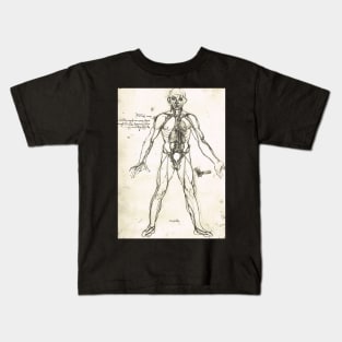 Anatomical figure of a man, to show the heart, lungs and main arteries.  Drawn by Leonardo Da Vinci, circa 1504-06 Kids T-Shirt